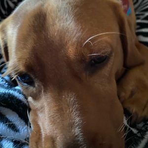 Meet your Posher, Zach